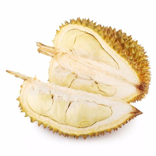 九游娱乐通道产品名称二