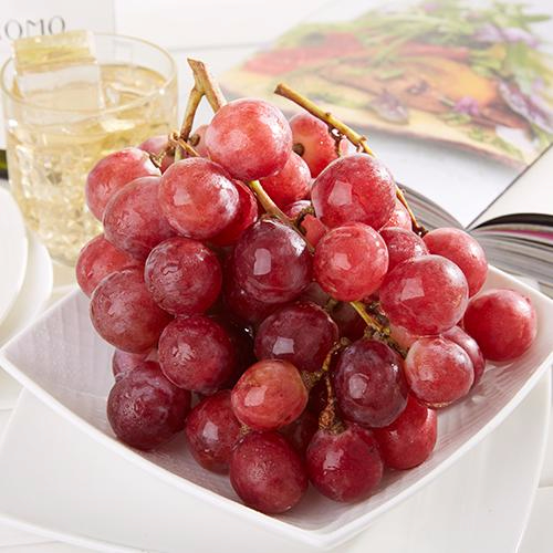 九游娱乐通道产品名称五